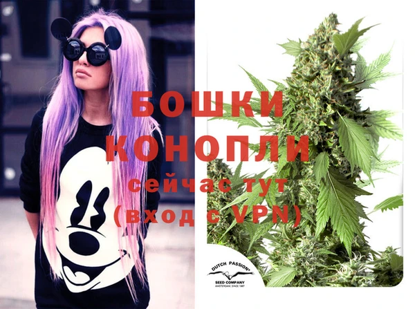 таблы Белокуриха