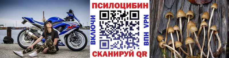 Галлюциногенные грибы Psilocybine cubensis  цена   маркетплейс состав  Ногинск 